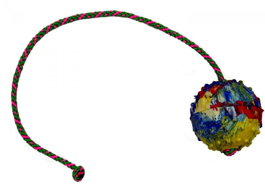 Мяч Gappay каучуковый, диам. 6см, с веревкой 50см от магазина dog22.ru 