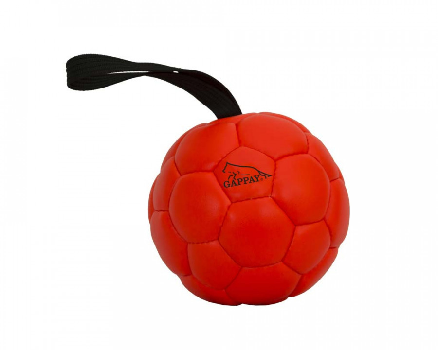 Кожаный мяч купить. Мяч Гаппай для собак. Мяч Gappay для собак. Мяч кожаный Gappay регби. Мячик каучуковый Julius-k9.